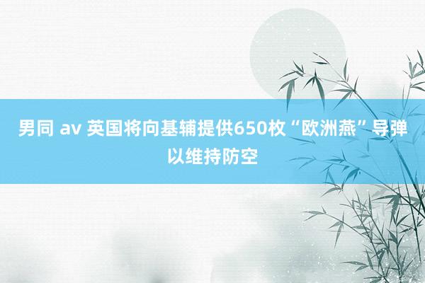 男同 av 英国将向基辅提供650枚“欧洲燕”导弹以维持防空