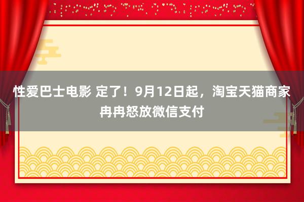 性爱巴士电影 定了！9月12日起，淘宝天猫商家冉冉怒放微信支付