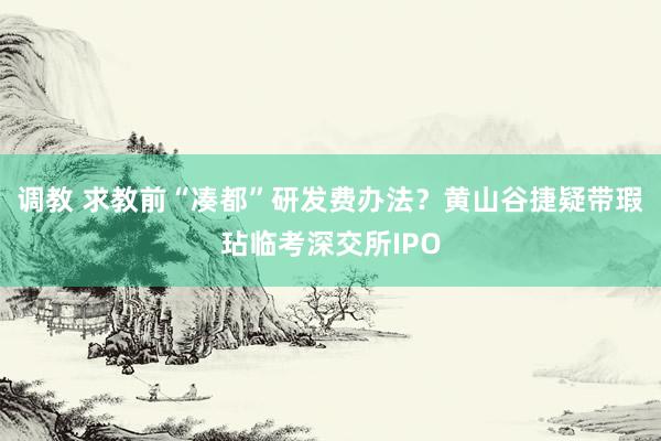 调教 求教前“凑都”研发费办法？黄山谷捷疑带瑕玷临考深交所IPO