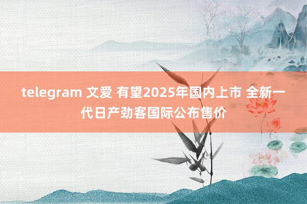 telegram 文爱 有望2025年国内上市 全新一代日产劲客国际公布售价