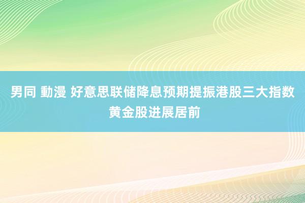 男同 動漫 好意思联储降息预期提振港股三大指数 黄金股进展居前