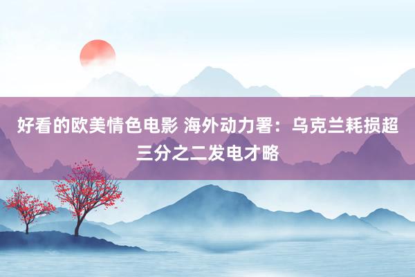 好看的欧美情色电影 海外动力署：乌克兰耗损超三分之二发电才略