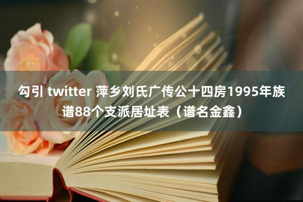 勾引 twitter 萍乡刘氏广传公十四房1995年族谱88个支派居址表（谱名金鑫）