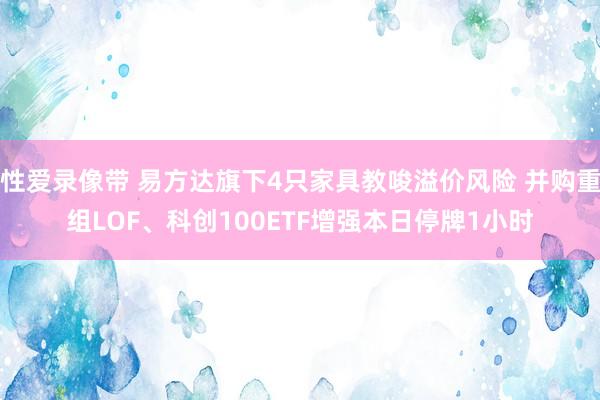 性爱录像带 易方达旗下4只家具教唆溢价风险 并购重组LOF、科创100ETF增强本日停牌1小时