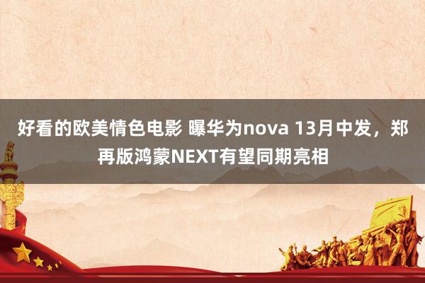 好看的欧美情色电影 曝华为nova 13月中发，郑再版鸿蒙NEXT有望同期亮相