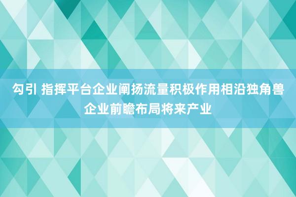 勾引 指挥平台企业阐扬流量积极作用相沿独角兽企业前瞻布局将来产业