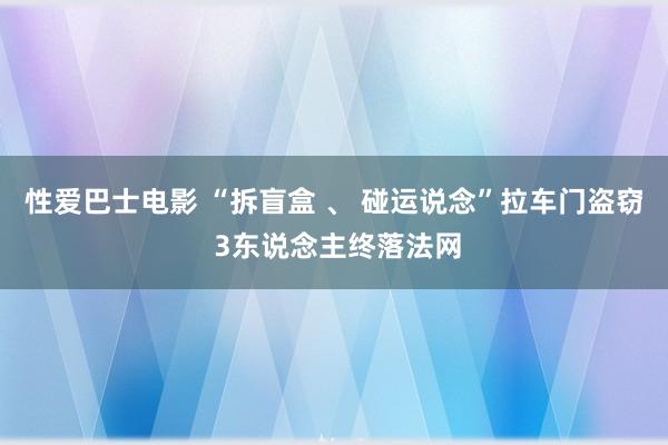 性爱巴士电影 “拆盲盒 、 碰运说念”拉车门盗窃 3东说念主终落法网