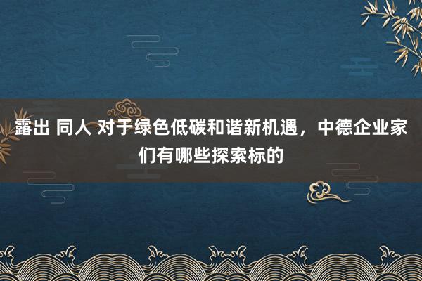 露出 同人 对于绿色低碳和谐新机遇，中德企业家们有哪些探索标的