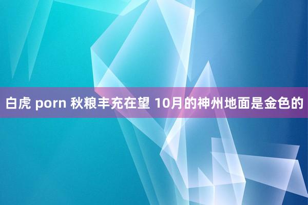 白虎 porn 秋粮丰充在望 10月的神州地面是金色的