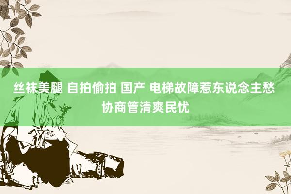 丝袜美腿 自拍偷拍 国产 电梯故障惹东说念主愁 协商管清爽民忧