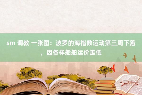 sm 调教 一张图：波罗的海指数运动第三周下落，因各样船舶运价走低