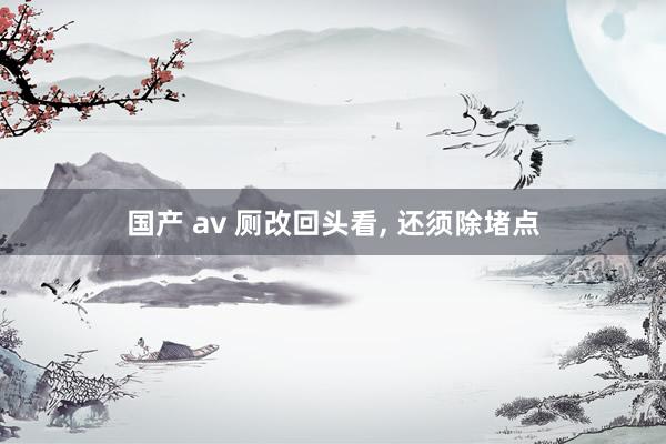 国产 av 厕改回头看， 还须除堵点