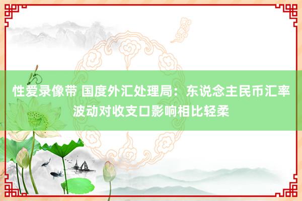 性爱录像带 国度外汇处理局：东说念主民币汇率波动对收支口影响相比轻柔