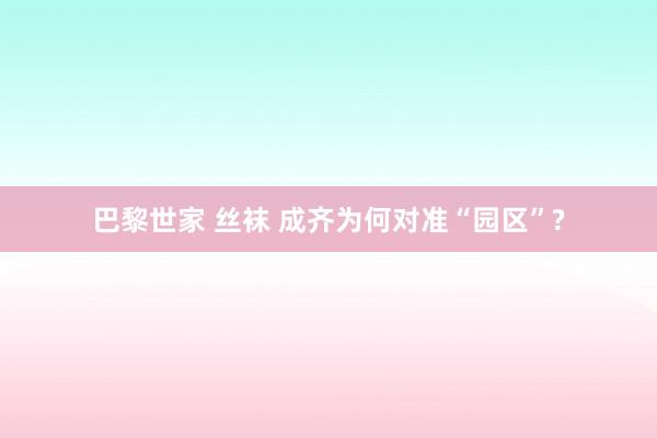 巴黎世家 丝袜 成齐为何对准“园区”?