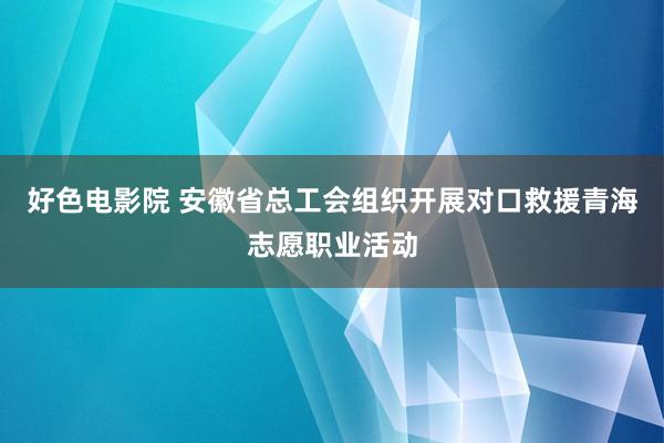 好色电影院 安徽省总工会组织开展对口救援青海志愿职业活动