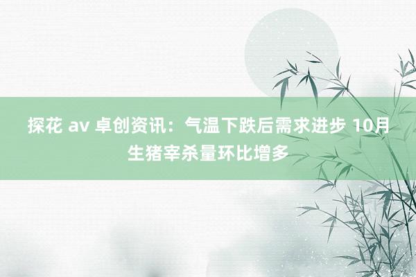 探花 av 卓创资讯：气温下跌后需求进步 10月生猪宰杀量环比增多