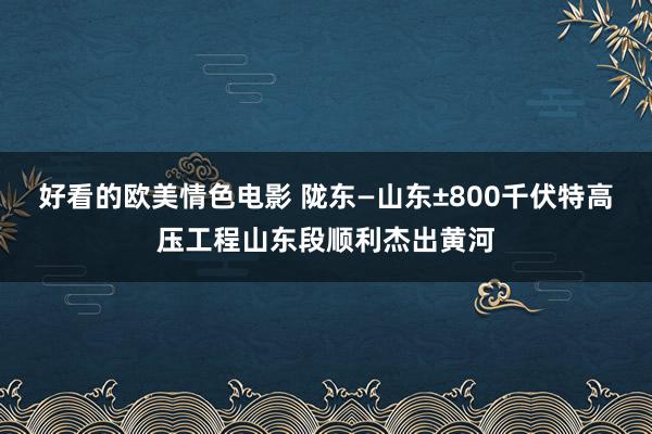 好看的欧美情色电影 陇东—山东±800千伏特高压工程山东段顺利杰出黄河