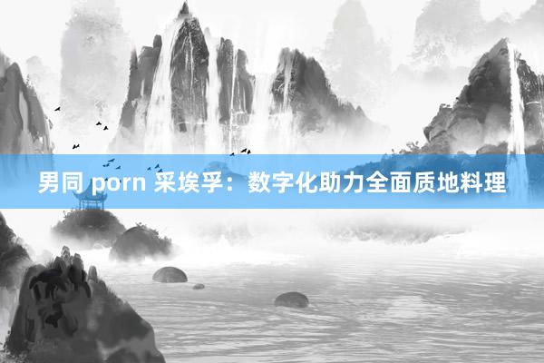 男同 porn 采埃孚：数字化助力全面质地料理