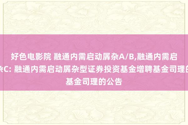 好色电影院 融通内需启动羼杂A/B，融通内需启动羼杂C: 融通内需启动羼杂型证券投资基金增聘基金司理的公告