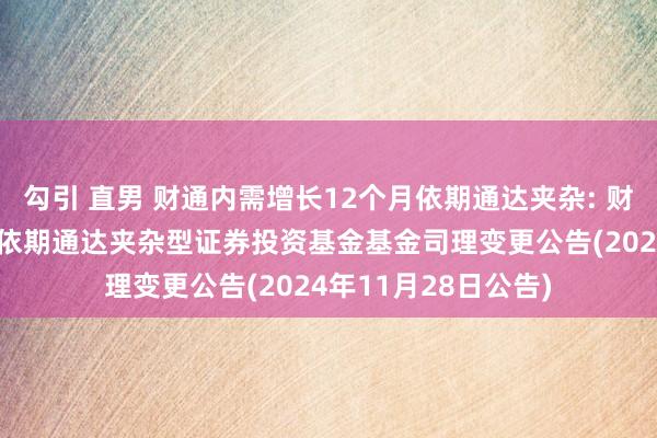 勾引 直男 财通内需增长12个月依期通达夹杂: 财通内需增长12个月依期通达夹杂型证券投资基金基金司理变更公告(2024年11月28日公告)