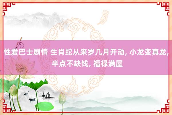 性爱巴士剧情 生肖蛇从来岁几月开动， 小龙变真龙， 半点不缺钱， 福禄满屋