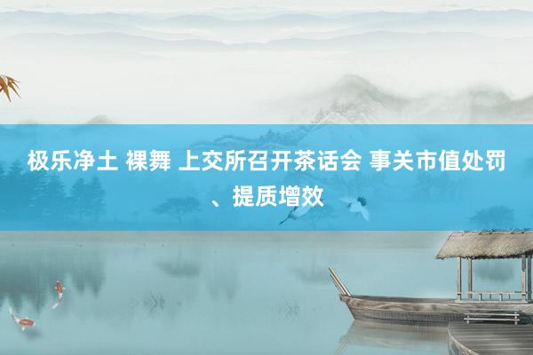 极乐净土 裸舞 上交所召开茶话会 事关市值处罚、提质增效