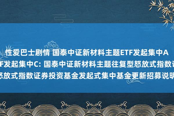 性爱巴士剧情 国泰中证新材料主题ETF发起集中A，国泰中证新材料主题ETF发起集中C: 国泰中证新材料主题往复型怒放式指数证券投资基金发起式集中基金更新招募说明书(2024年第一号)