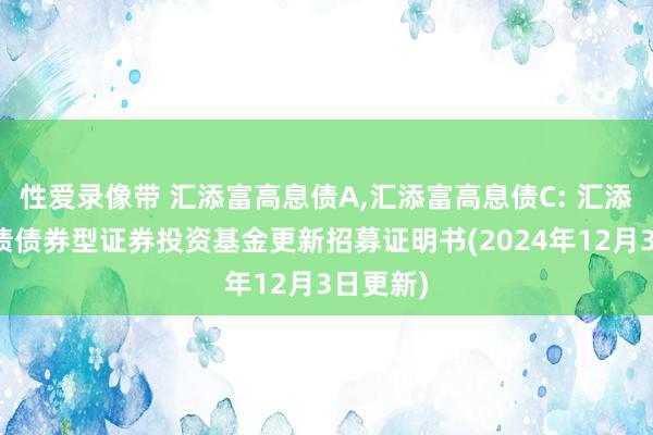 性爱录像带 汇添富高息债A，汇添富高息债C: 汇添富高息债债券型证券投资基金更新招募证明书(2024年12月3日更新)