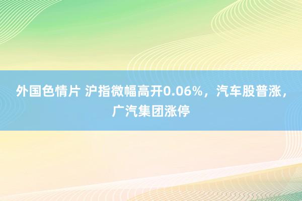 外国色情片 沪指微幅高开0.06%，汽车股普涨，广汽集团涨停