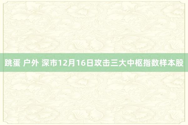 跳蛋 户外 深市12月16日攻击三大中枢指数样本股