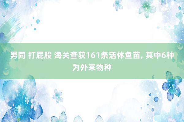 男同 打屁股 海关查获161条活体鱼苗， 其中6种为外来物种