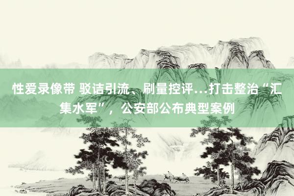 性爱录像带 驳诘引流、刷量控评…打击整治“汇集水军”，公安部公布典型案例