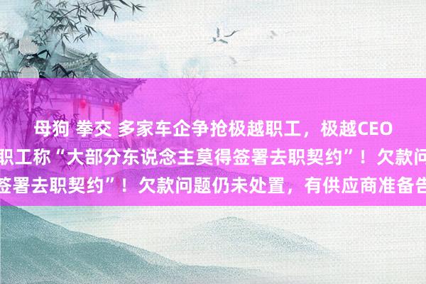 母狗 拳交 多家车企争抢极越职工，极越CEO最新发声：感谢！极越职工称“大部分东说念主莫得签署去职契约”！欠款问题仍未处置，有供应商准备告状