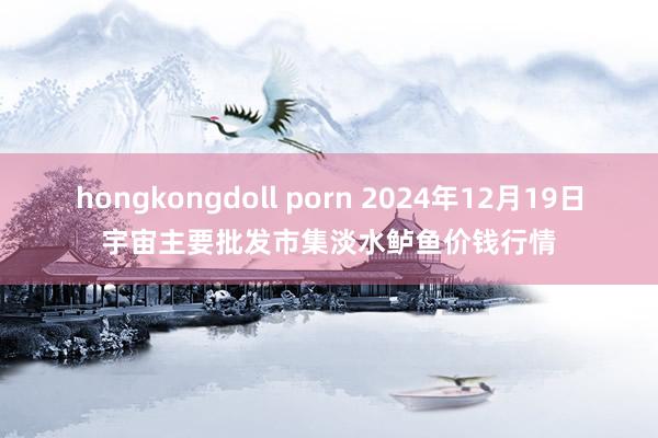 hongkongdoll porn 2024年12月19日宇宙主要批发市集淡水鲈鱼价钱行情