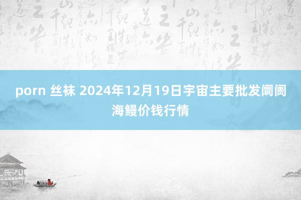 porn 丝袜 2024年12月19日宇宙主要批发阛阓海鳗价钱行情