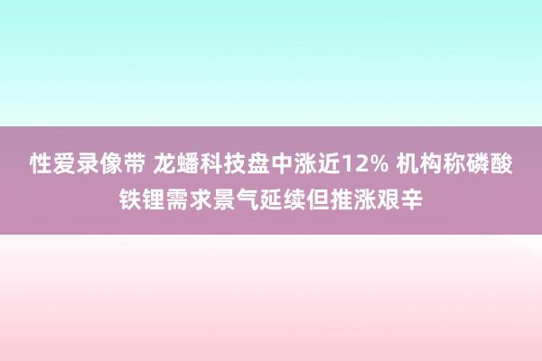 性爱录像带 龙蟠科技盘中涨近12% 机构称磷酸铁锂需求景气延续但推涨艰辛