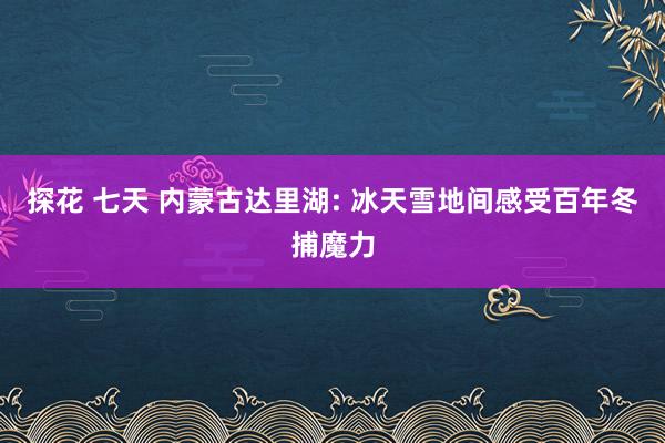 探花 七天 内蒙古达里湖: 冰天雪地间感受百年冬捕魔力