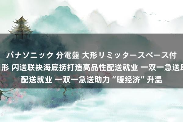 パナソニック 分電盤 大形リミッタースペース付 露出・半埋込両用形 闪送联袂海底捞打造高品性配送就业 一双一急送助力“暖经济”升温