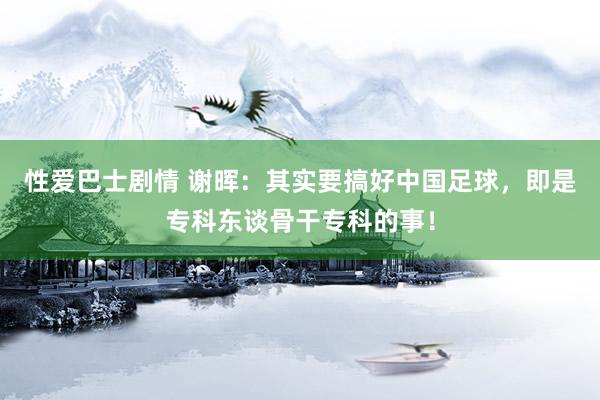 性爱巴士剧情 谢晖：其实要搞好中国足球，即是专科东谈骨干专科的事！