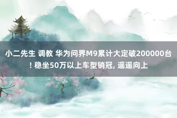 小二先生 调教 华为问界M9累计大定破200000台! 稳坐50万以上车型销冠， 遥遥向上