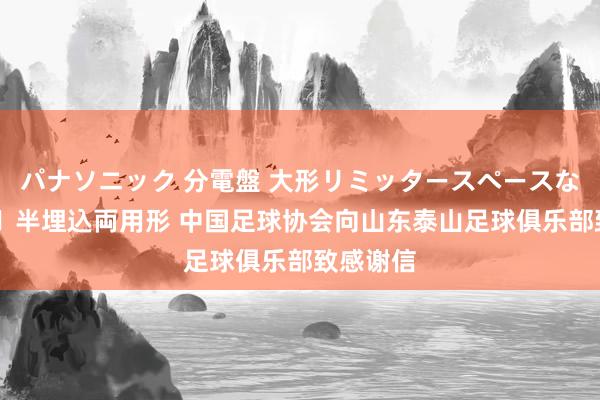 パナソニック 分電盤 大形リミッタースペースなし 露出・半埋込両用形 中国足球协会向山东泰山足球俱乐部致感谢信