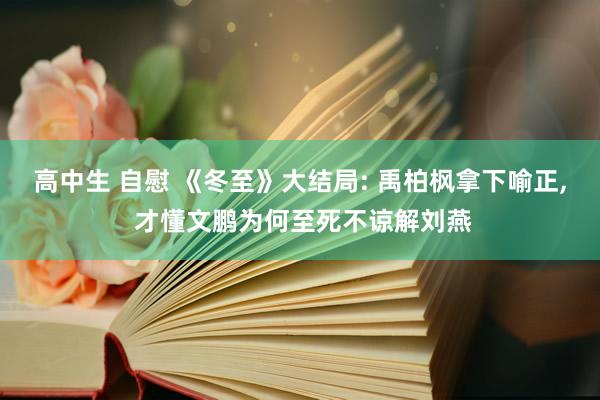 高中生 自慰 《冬至》大结局: 禹柏枫拿下喻正， 才懂文鹏为何至死不谅解刘燕