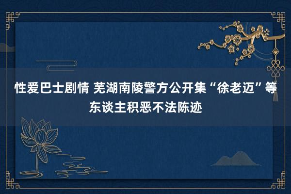 性爱巴士剧情 芜湖南陵警方公开集“徐老迈”等东谈主积恶不法陈迹