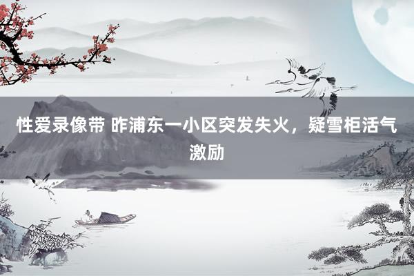 性爱录像带 昨浦东一小区突发失火，疑雪柜活气激励