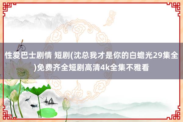 性爱巴士剧情 短剧(沈总我才是你的白蟾光29集全)免费齐全短剧高清4k全集不雅看