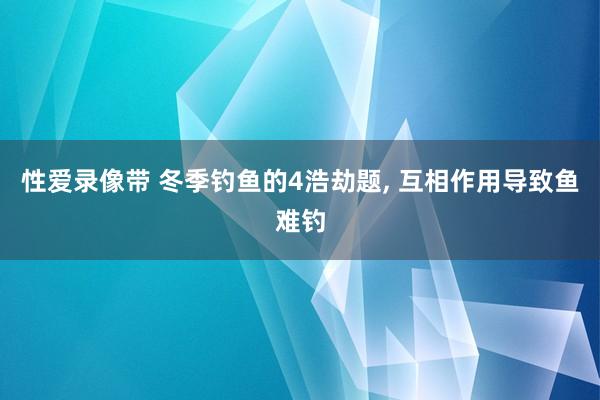 性爱录像带 冬季钓鱼的4浩劫题， 互相作用导致鱼难钓