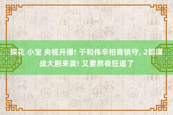 探花 小宝 央视开播! 于和伟辛柏青镇守， 2部谍战大剧来袭! 又要熬夜狂追了